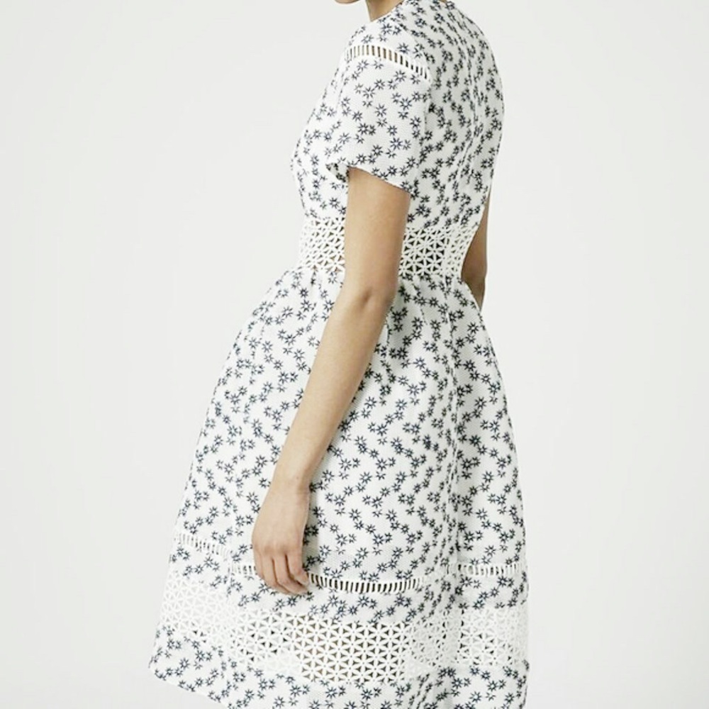 Topshop Limited Edition Daisy Dress - Picture 2 of 8